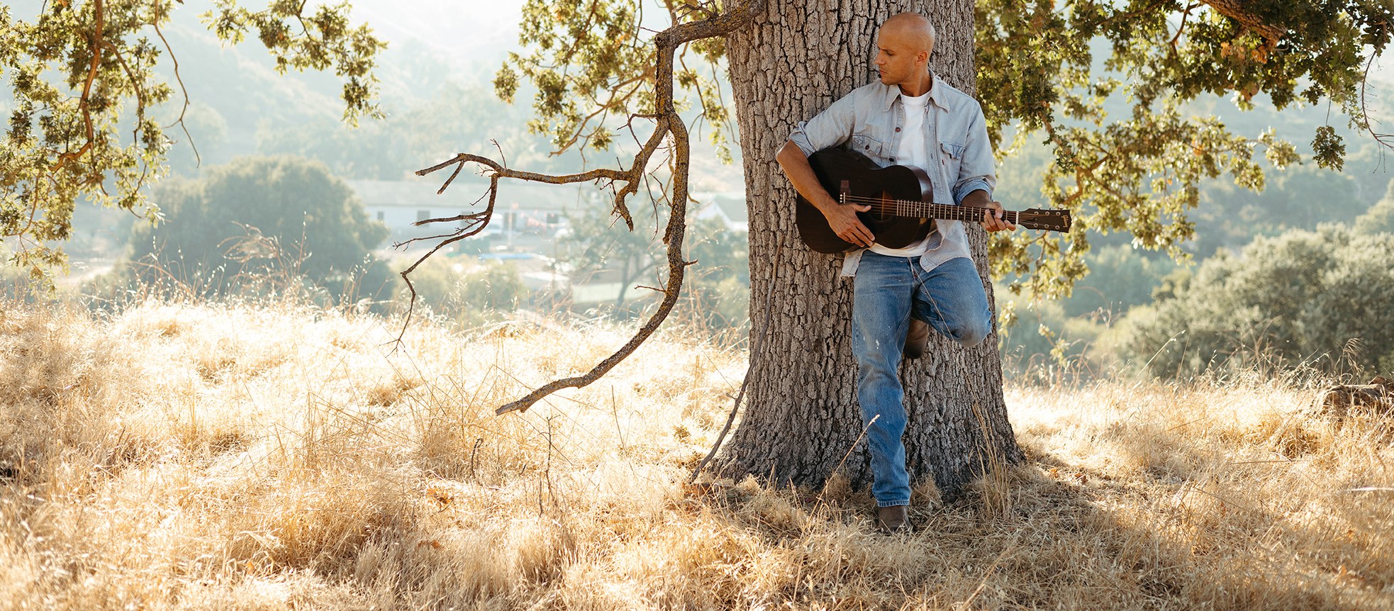 Milow mit Gitarre an einem Baum